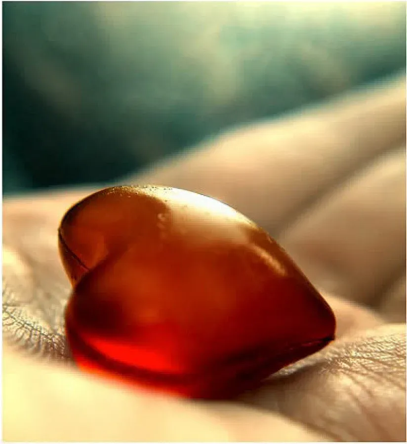 Майка даде бъбрек на сина си