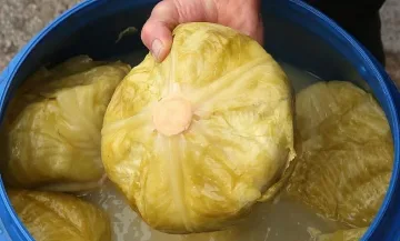 Искате свое кисело зеле по Коледа? Ето кога да го сложите