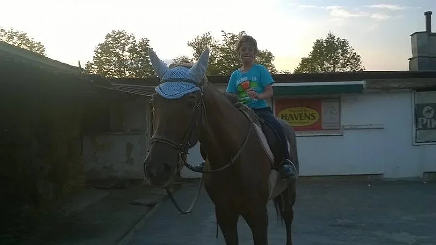 Обикваш коня след 10 урока