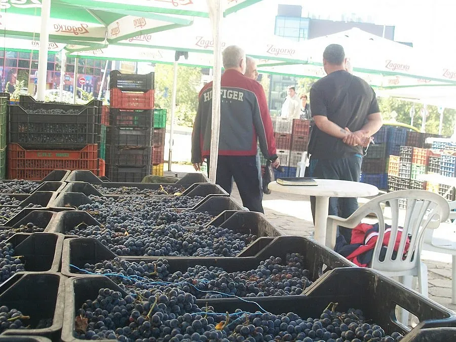 Лозари разменят грозде за картофи и боб
