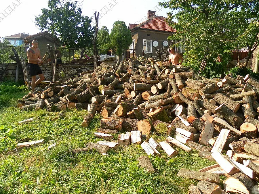 Близо 7 500 лица в Кърджалийско искат помощ за отопление