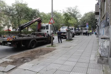 Роял и слон вместо коли в центъра на София