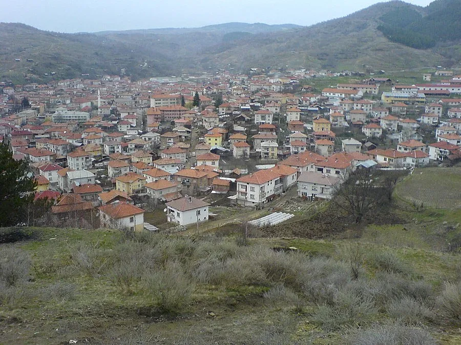 Двама в ареста за побой на мъж