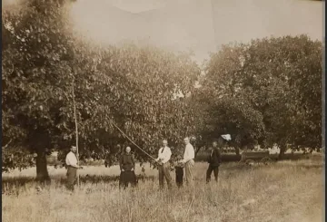 Казанлъшка продукция печели 5 награди от изложение на орехови ядки през далечната 1931 г.