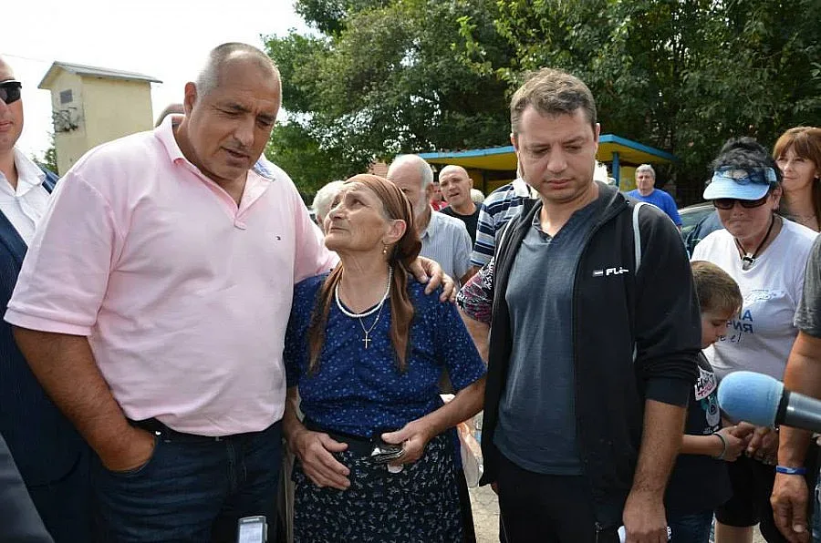 Депутатите на Бойко садят 40 000 фиданки