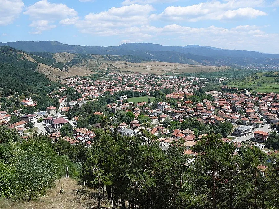 Непълнолетни крадци спипаха в Белица