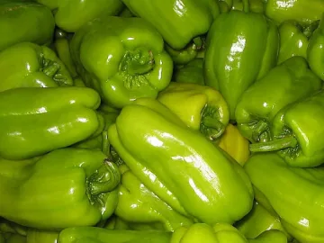 Дъждовете удариха реколтата от чушки