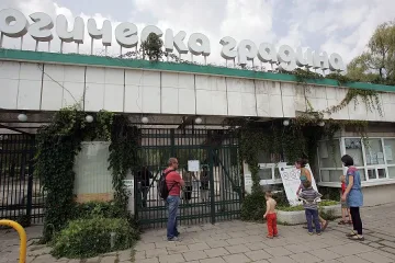 Отрова мори зоопарка, може и да е умишлено