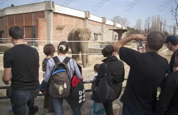 Столична община отпуска пари за козметичен ремонт в зоопарка