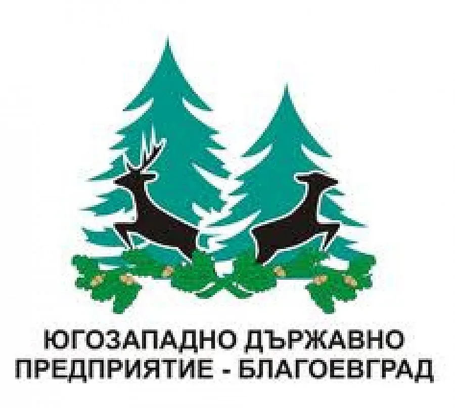 Нови шефове в ЮЗДП