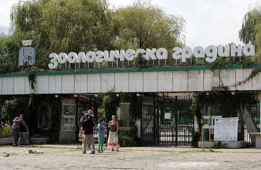 Белгийци казват за мора в зоопарка