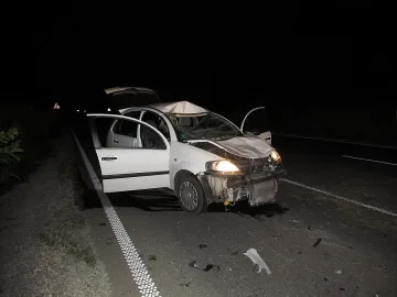 Пиян каруцар предизвика катастрофа с англичанин