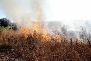 11 пожара в Пиринско през уикенда