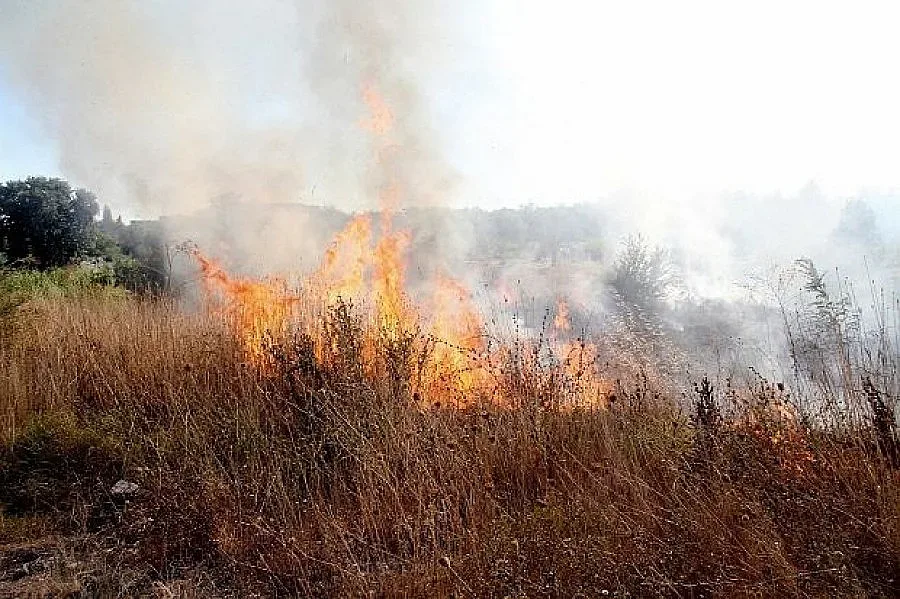 11 пожара в Пиринско през уикенда