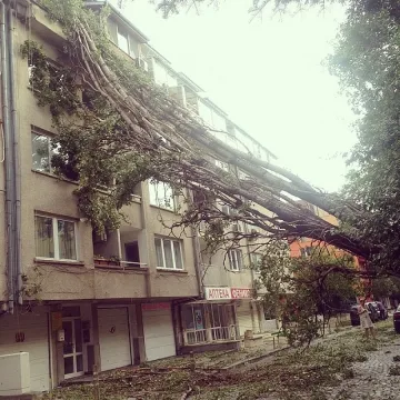 Скок в търсенето на застраховки за дома