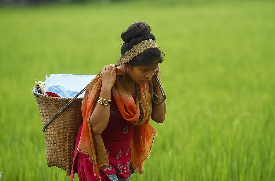 Ягода в герба на Осиково