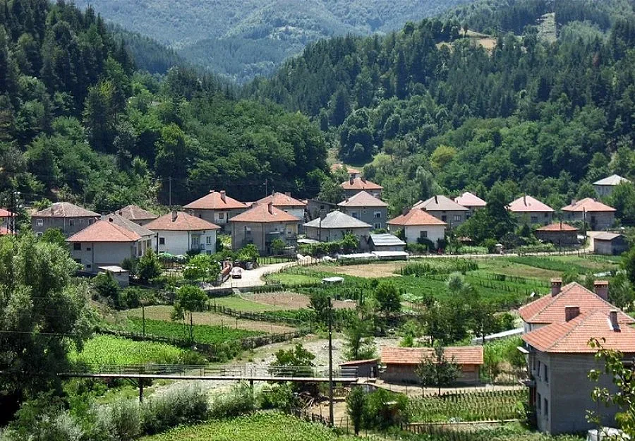 Село обяви война на тировете