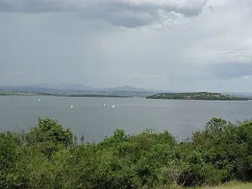 10 пъти по-малко олово в рибата