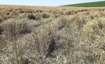 Започва прием на заявления във връзка с ембаргото, въведено от Русия