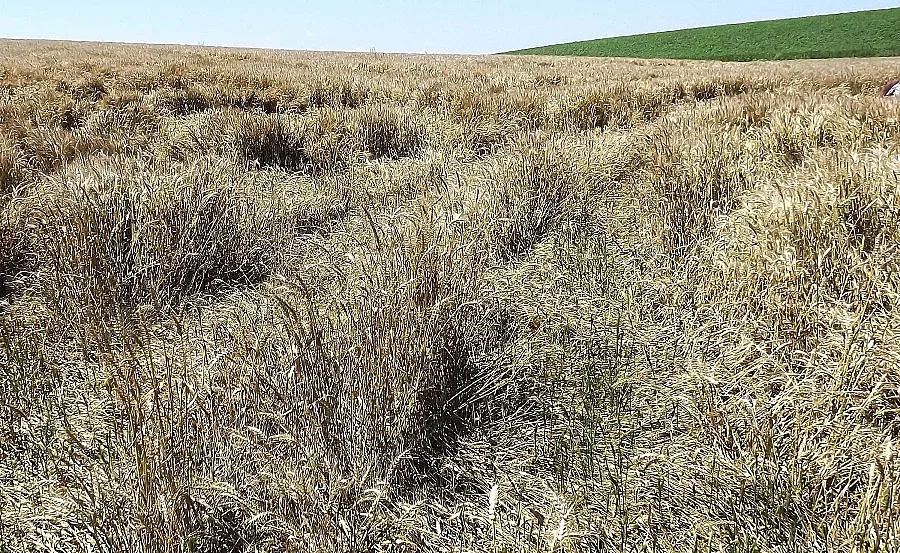 Започва прием на заявления във връзка с ембаргото, въведено от Русия