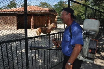Извънредни мерки в хасковския зоопарк заради „синия език“