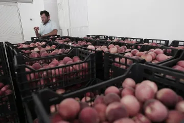 Надпревара за 125 млн. евро от Брюксел