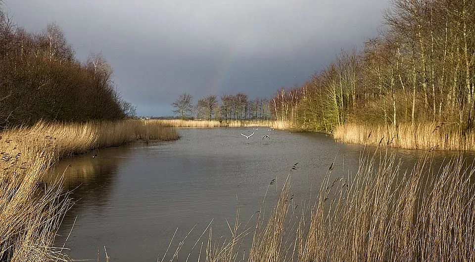 Синоптиците видяха кога иде сериозното застудяване