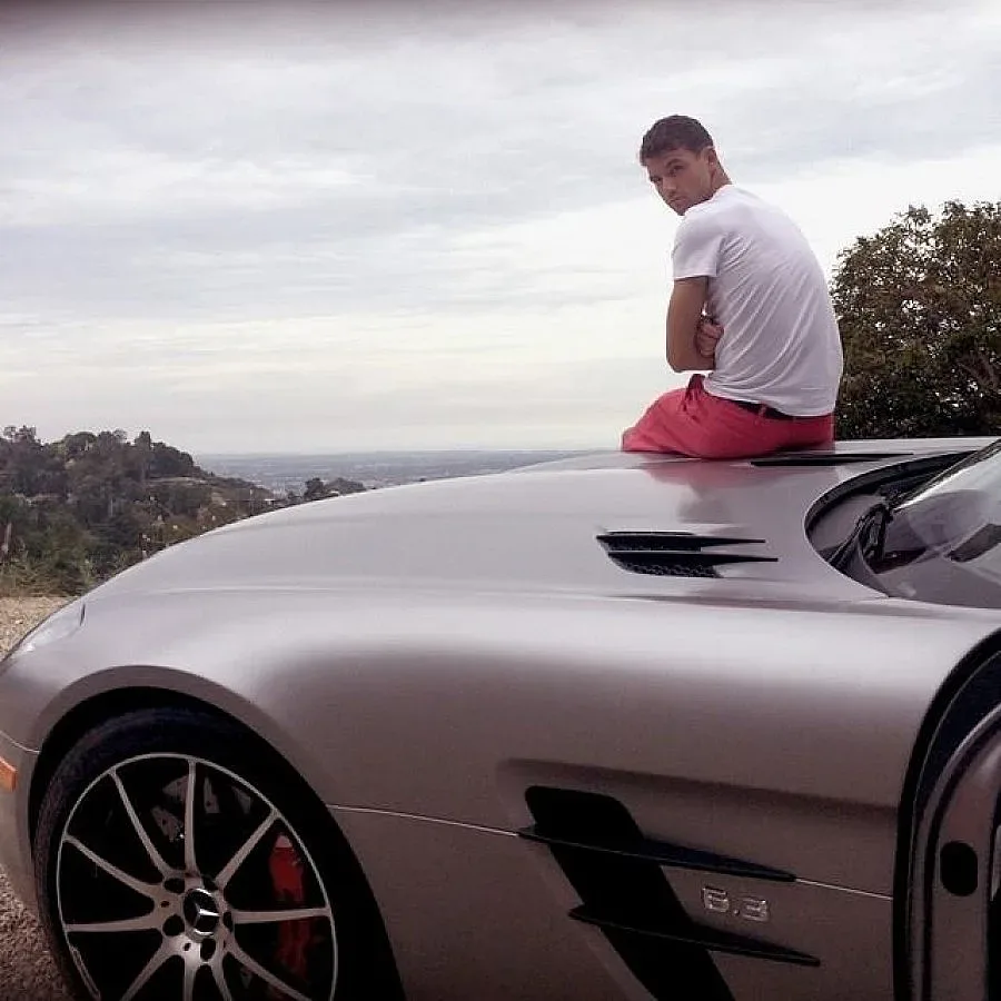 Гришо подкара сребрист звяр