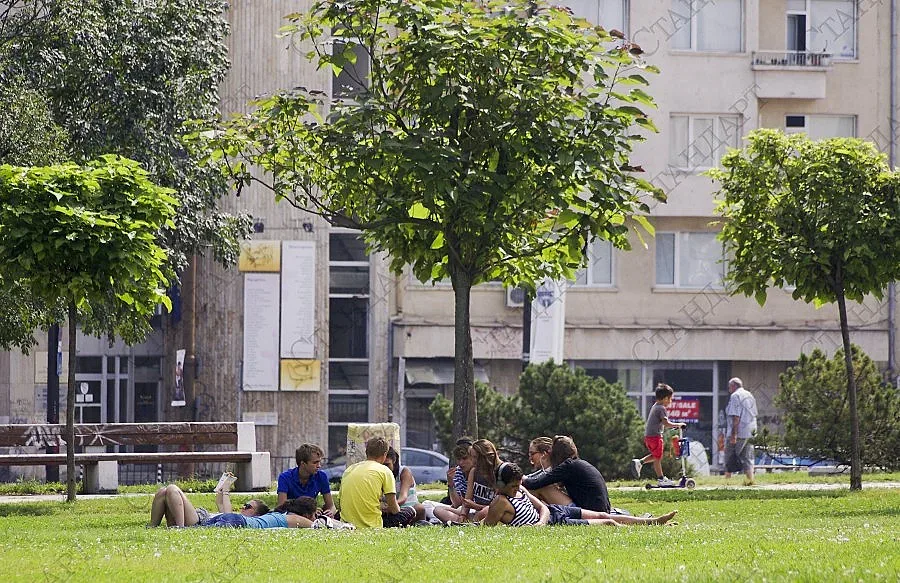 Пръскат зелените площи в столицата срещу комари