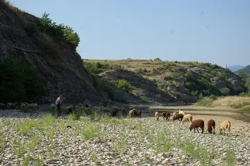 „Син език" пламна и в Пиринско