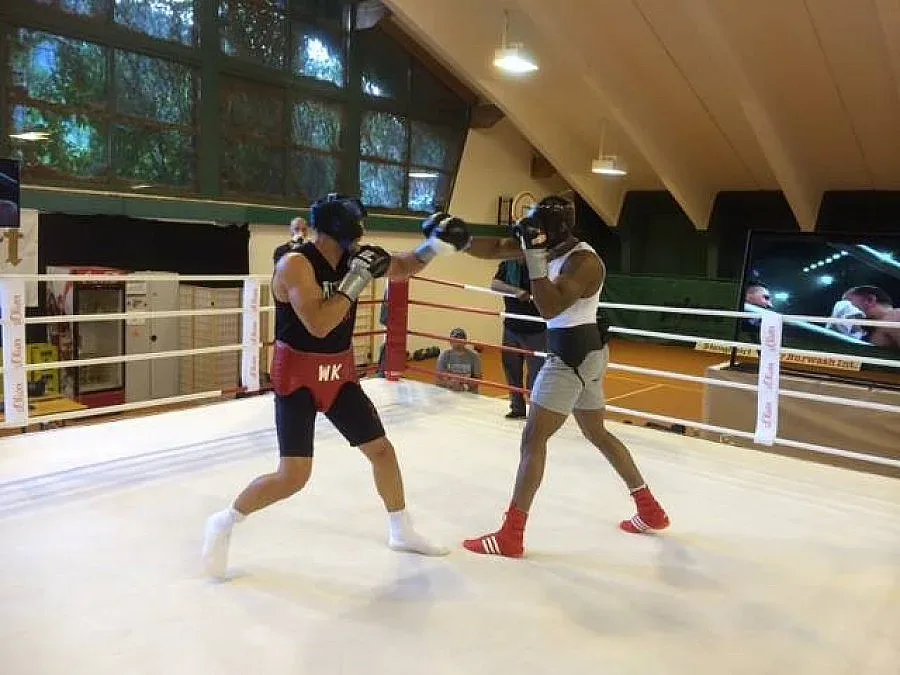 Очите на Кличко изтекоха по Кобрата