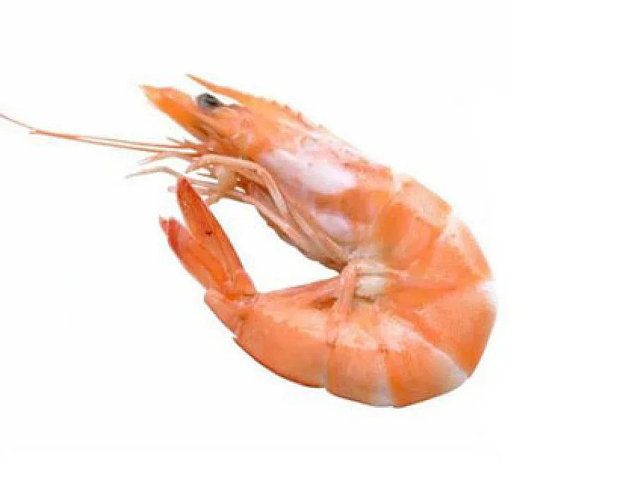 Скариди дават работа на 250 души