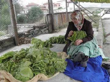 Кметове ще бранят тютюнджии от измами