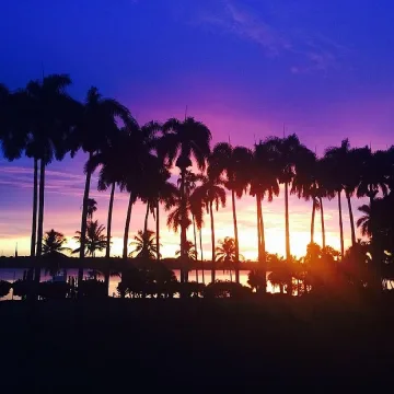 Фотомания тресе Гришо (СНИМКИ)