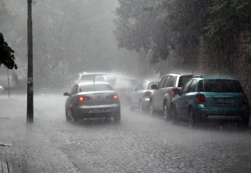 Паднали дървета и наводнени къщи от дъжда в Сливен