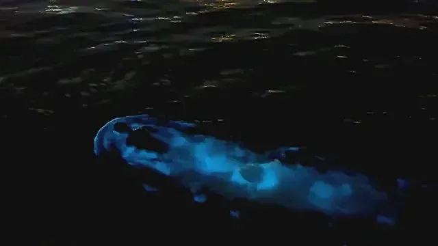 Като на филм! Рядък феномен в Черно море