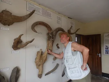 Сафари в дебрите на праисторията