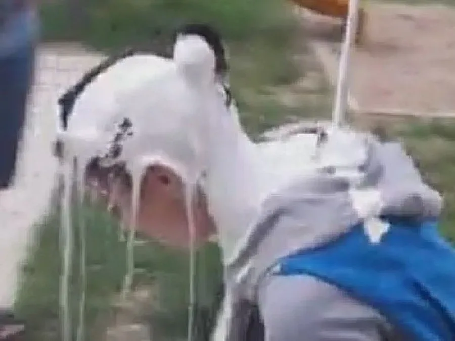 Задържаха младежите, залели момиче с боя