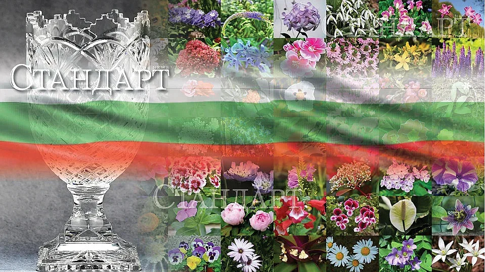 Жега на финала! Люляците дърпат, плевелите се топят