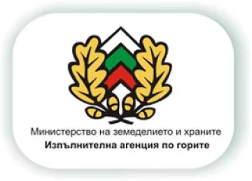 Сменят шефа на горите