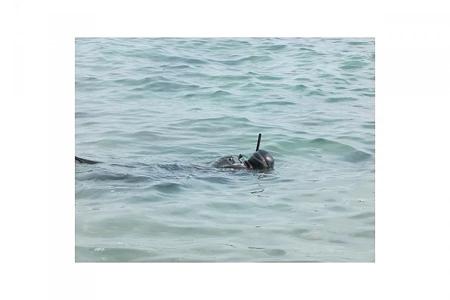 Обезвредиха опасна морска мина в Паша дере