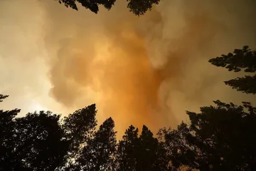 Горски пожари бушуват в Калифорния