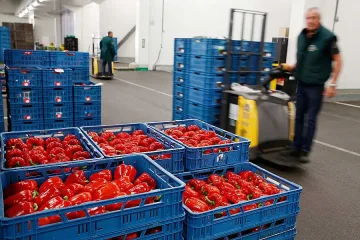 Руското вето удари сьомгата и млякото