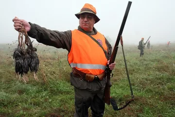 Хиляди на лов за гургулици