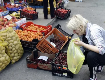 Заради руското вето наши фирми  стават сръбски