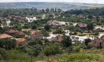 Шарани по кило плуват из Мизия