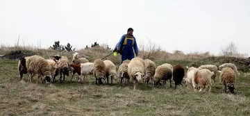 И в Ардино срещу „син език" 
