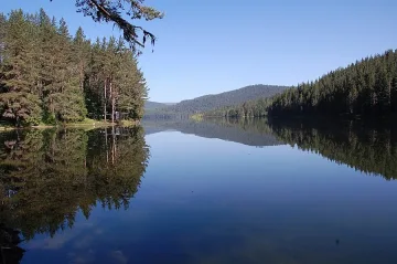 Млади природозащитници от цяла Европа на младежки лагер в България