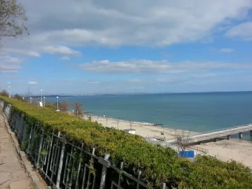 Пчела умъртви бургазлийка