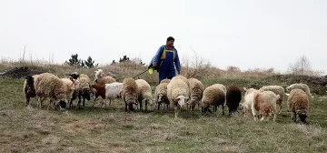 "Син език" изгълта парите на фермерите